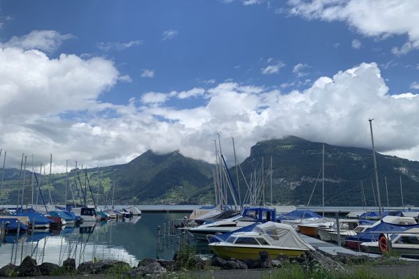 interlaken51DB568E4-5086-1FC1-76AC-5C6E023BA7FE.jpg
