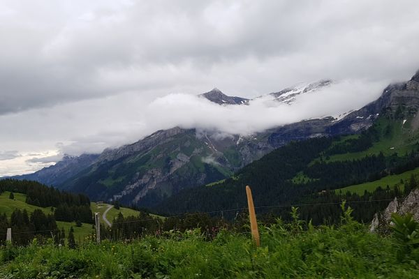 route20FA5B1EA-C525-05BD-BFFB-D8CCD0EEC360.jpg