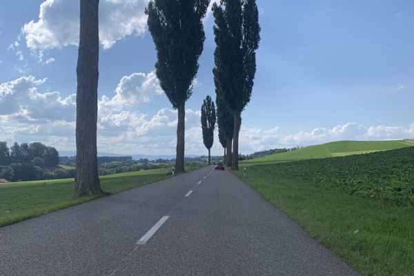 route30E787364-93F8-ACF3-1C31-270DA7C1ACAE.jpg